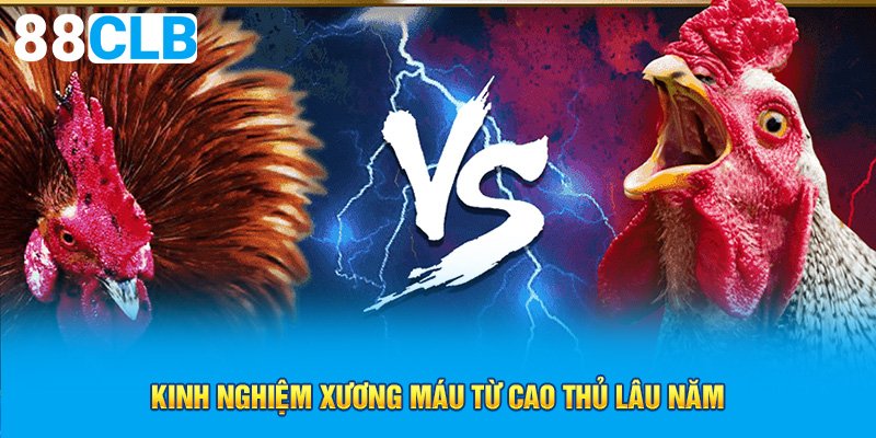 Kinh nghiệm xương máu từ cao thủ lâu năm