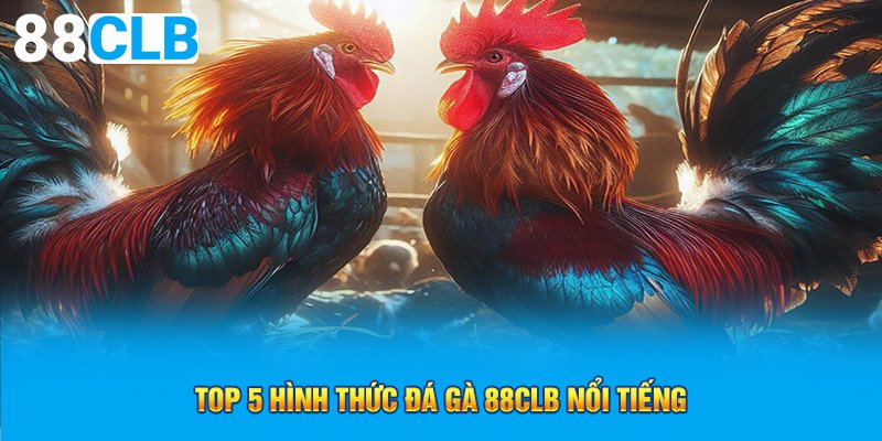 Top 5 hình thức đá gà 88CLB nổi tiếng